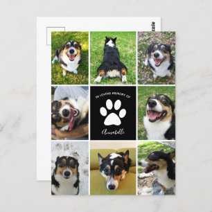 Pet Memorial Custom Hond Collage in Loving Memory Briefkaart