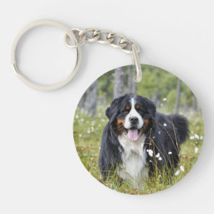 Pet Memorial - Dog Pet Photo - Rainbow Pet Loss Sleutelhanger