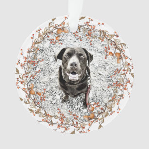 Pet Memorial Fall Wath Name Dates Texte Photo