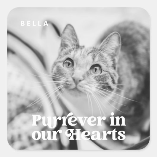 Pet Memorial Forever in ons hart Eenvoudige foto Vierkante Sticker (Voorkant)
