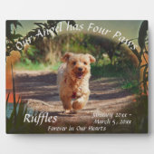 Pet Memorial Four Paws Sunset 2009 Plaque Fotoplaat (Voorkant)