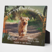 Pet Memorial Four Paws Sunset 2009 Plaque Fotoplaat (Zijkant)