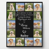 Pet Memorial Herdenking Keepslag 14 Foto Collage Fotoplaat (Voorkant)