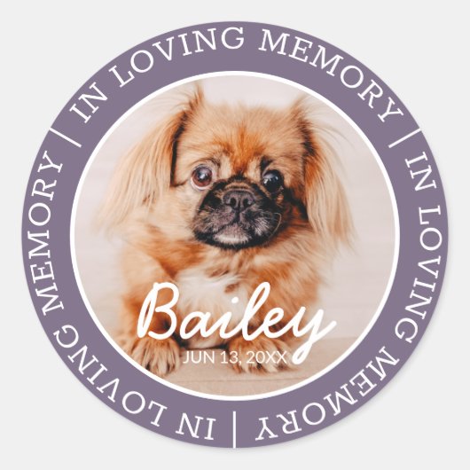Pet Memorial in Loating Memory Modern Custom Photo Ronde Sticker (Voorkant)