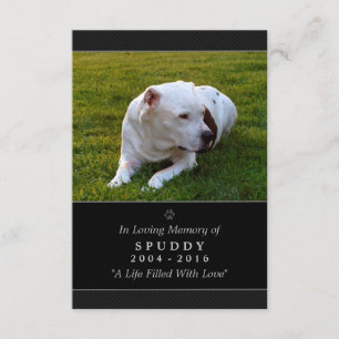 Pet Memorial Kaart 3.5" x5" zwarte moderne foto