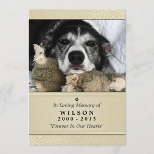 Pet Memorial Kaart 5"x7" Creme Modern Foto