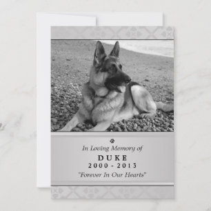 Pet Memorial Kaart 5"x7" Gray Modern - Mannelijke 