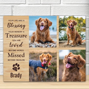 Pet Memorial Keepomwille Specialized Photo Collage Fotoplaat