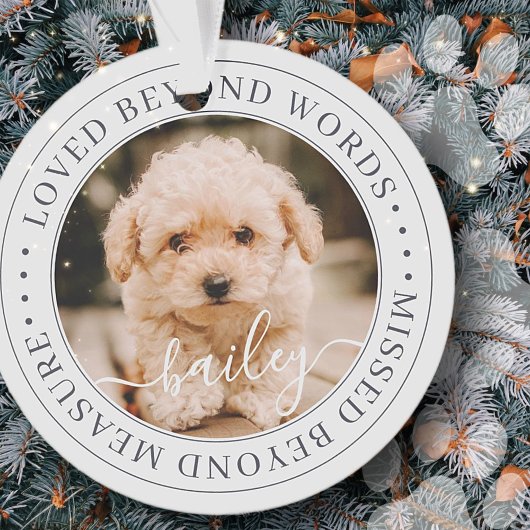 Pet Memorial Love Beyond Words Elegant Chic Photo