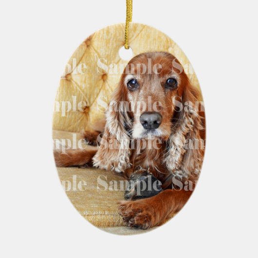 Pet memorial memory / PERSONALIZE foto Keramisch Ornament (Voorkant)