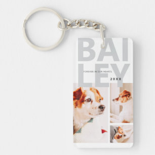 Pet Memorial Modern Eenvoudige Drie Foto Collage Sleutelhanger