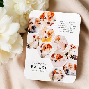 Pet Memorial Modern Simple 10 Photo Collage Kaart Magneet