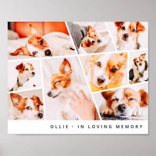 Pet Memorial Modern Simple Chic 9 Foto's Collage Poster (Voorkant)