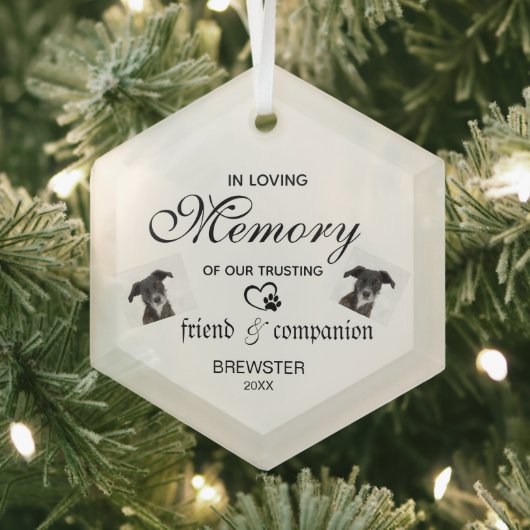 Pet Memorial Ornament - Aangepaste foto Keepsake! (Insitu)