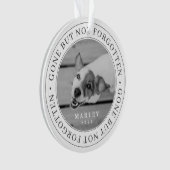 Pet Memorial parti, mais pas oublié photo moderne (devant)