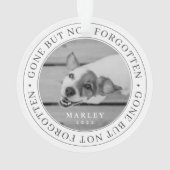 Pet Memorial parti, mais pas oublié photo moderne (dos)