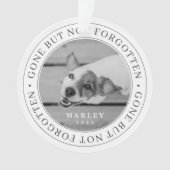 Pet Memorial parti, mais pas oublié photo moderne (devant)