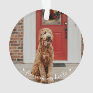 Pet Memorial Paw Print Foto Ornament