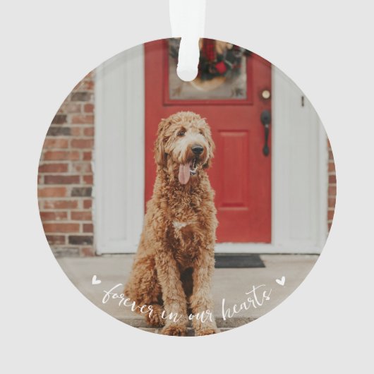 Pet Memorial Paw Print Foto Ornament (achterkant)