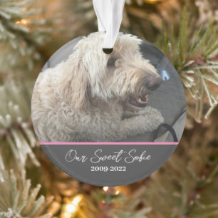 Pet Memorial personnalisable Pet Ornament