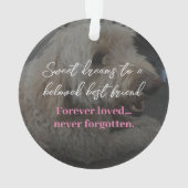 Pet Memorial personnalisable Pet Ornament (dos)