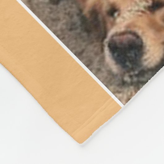 Pet Memorial Photo Collage de couverture (Coin)