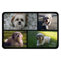 Pet Memorial Photo Collage Name with Dates