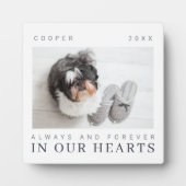 Pet Memorial Quote Simple Moderne Chic Photo Fotoplaat (Voorkant)