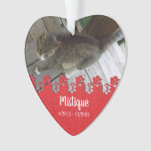 Pet Memorial Remembrance Beloved Keepsake Ornament (voorkant)