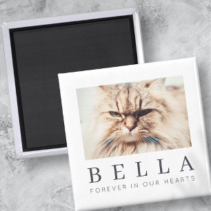 Pet Memorial Simple Modern Chic Family Foto Magneet