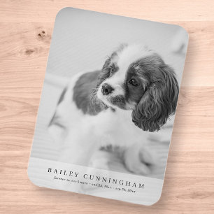 Pet Memorial Simple Modern Vertical Photo Card Magneet