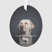 Pet Memorial Simple Photo Name and Years (devant)