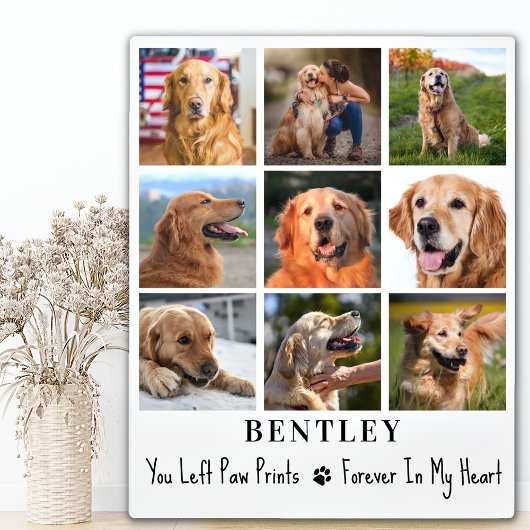 Pet Memorial Specialized 9 Photo Collage Dog Fotoplaat