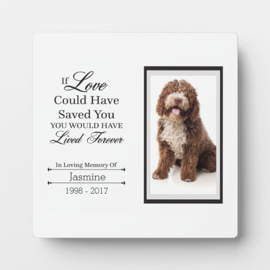 Pet Memorial Tabletop Plaque met Easel Fotoplaat (Voorkant)