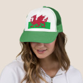 Pet met de vlag van Wales (In situ)