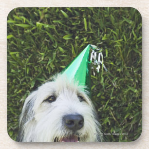 Pet met een hond onderzetter