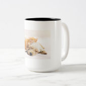 Pet Mug (Devant droit)