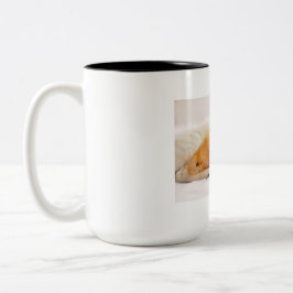 Pet Mug Tweekleurige Koffiemok