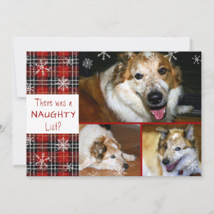 Pet Naughty of Nice Snowflake Plaid 3 foto's Feestdagenkaart