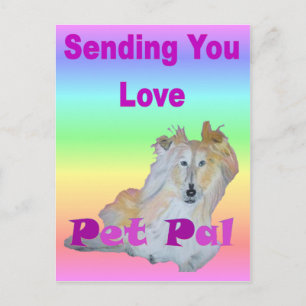 Pet Pal Briefkaart