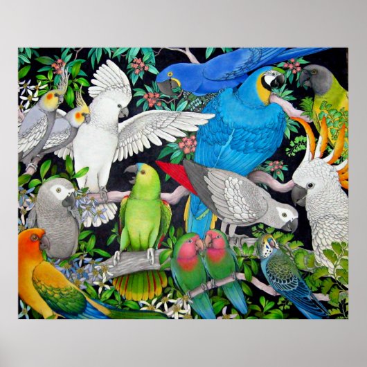 Pet Parrots of the World Poster (Voorkant)