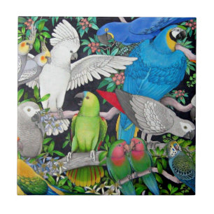 Pet Parrots of the World Tile Tegeltje