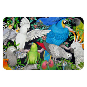 Pet Parrots van de Premium Magnet van de Wereld Magneet