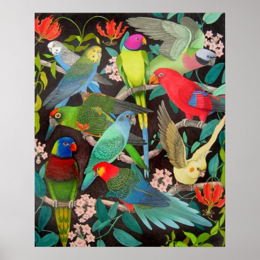 Pet Parrots van het Poster van de Wereld II (Voorkant)