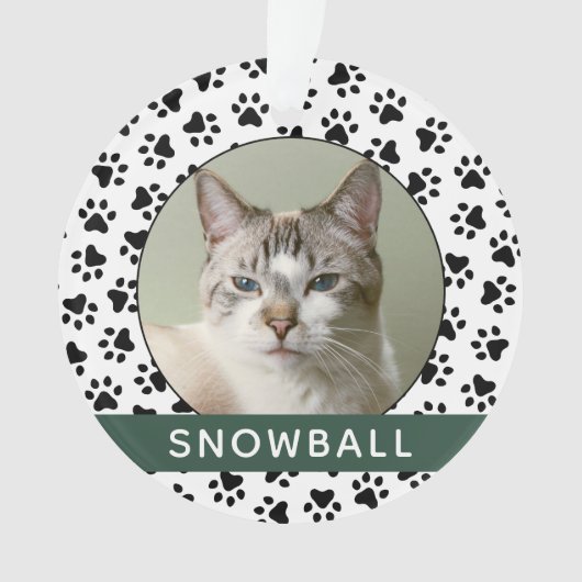 Pet Paw Drukt Groene Aangepaste Kat Naam Foto Ornament (voorkant)