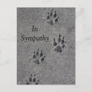 Pet Paws in Cement - Altijd daar Briefkaart