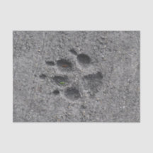 Pet Paws in Cement - Altijd daar