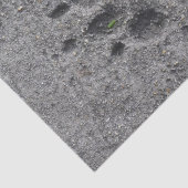 Pet Paws in Cement - Altijd daar Tissuepapier (Detail)