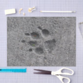 Pet Paws in Cement - Altijd daar Tissuepapier (Craft)