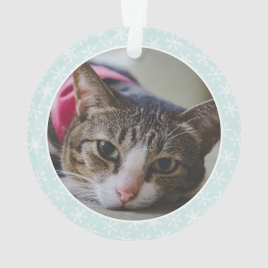 Pet Photo Grey Chat Noël (dos)